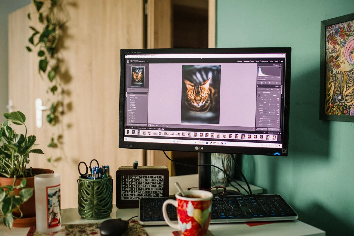 Photo editing software on a desktop monitor